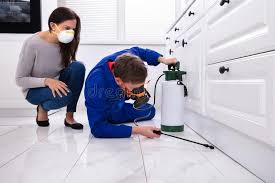 Best Real Estate Pest Inspections  in Seabrook, MD